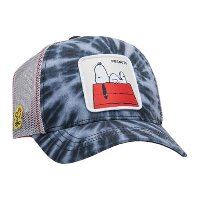 Kepurės Capslab CapsLab Peanuts Snoopy Trucker kepurė CLPEA31CAS-TIE Mėlyna Daugiaspalvis