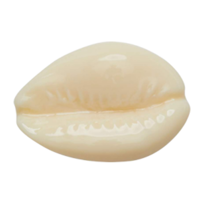 Kiti Moterims Crocs Jibbitz Puka Shell ženkliukas G0780600-MU Balta