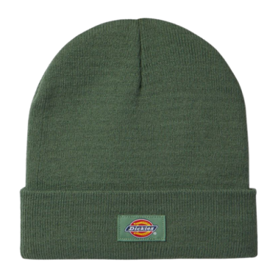 Kepurės Dickies Dickies Gibsland žieminė kepurė DK0A4X7KC971 Žalias