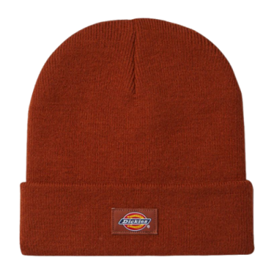 Kepurės Dickies Dickies Gibsland žieminė kepurė DK0A4X7KIEX1 Ruda