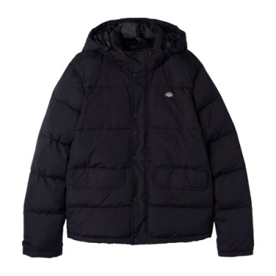 Striukės Dickies Dickies Glacier View Puffer striukė DK0A4Y3WBLK1 Juoda