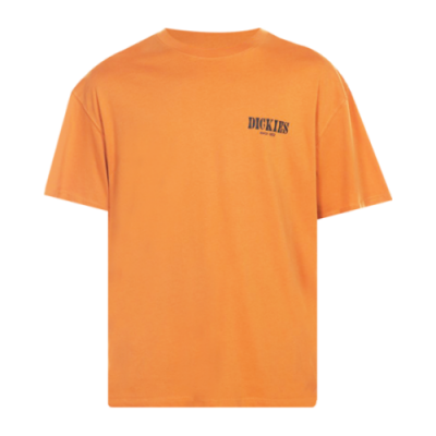 Marškinėliai Dickies Dickies Kelso SS laisvalaikio marškinėliai DK0A4XO4C381 Oranžinė
