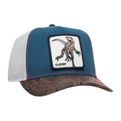 Kepurės Goorin Bros Goorin Bros Swift Robber Clever Trucker kepurė 101-0144-SLA Daugiaspalvis