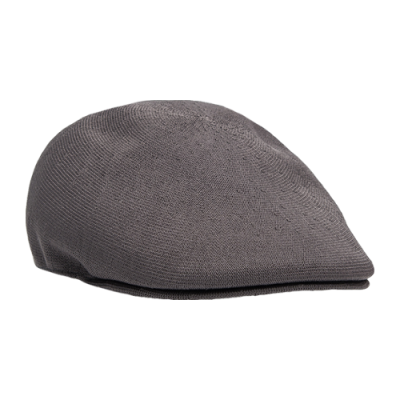 Kepurės Vyrams Kangol Seamless Tropic 507 kepurė K3569-CH011 Pilka