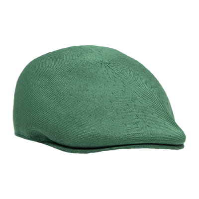 Kepurės Vyrams Kangol Seamless Tropic 507 kepurė K3569-TG302 Žalias