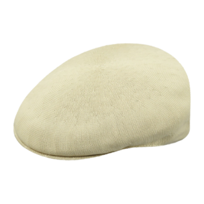 Kepurės Moterims Kangol Tropic 504 kepurė 0287BC-BG265 Rusvai Gelsvas
