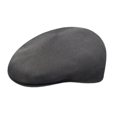 Kepurės Moterims Kangol Tropic 504 kepurė 0287BC-CH011 Pilka