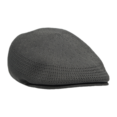 Kepurės Vyrams Kangol Tropik 507 Ventair kepurė K3208HT-CL319 Pilka