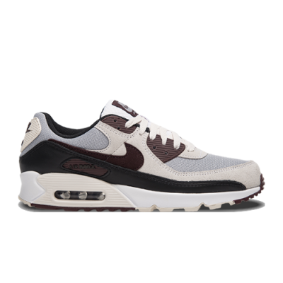 Laisvalaikio Batai Nike Air Max Day Nike Air Max 90 DQ4071-004 Pilka