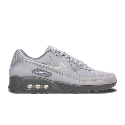 Laisvalaikio Batai Nike Air Max Day Nike Air Max 90 FJ4218-002 Pilka