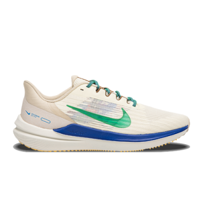 Bėgimo Batai Vyrams Nike Winflo 9 Premium DV8997-100 Rusvai Gelsvas