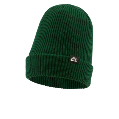 Kepurės Šilti Aksesuarai Nike SB Skate Fisherman žieminė kepurė DJ6044-341 Žalias