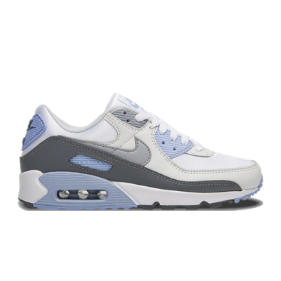 Laisvalaikio Batai Moterims Nike Wmns Air Max 90 FB8570-100 Pilka