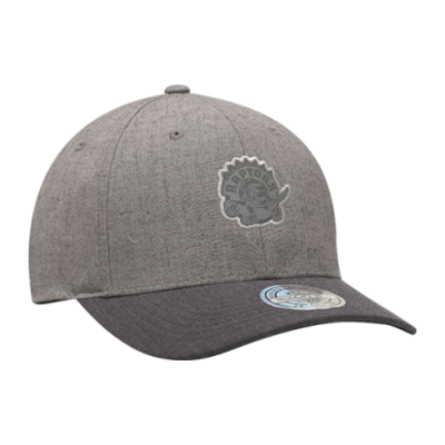 Kepurės Vaikams Mitchell &amp; Ness HWC Toronto Raptors Beam 110 Snapback kepurė INTL248-TORRAP-GRY